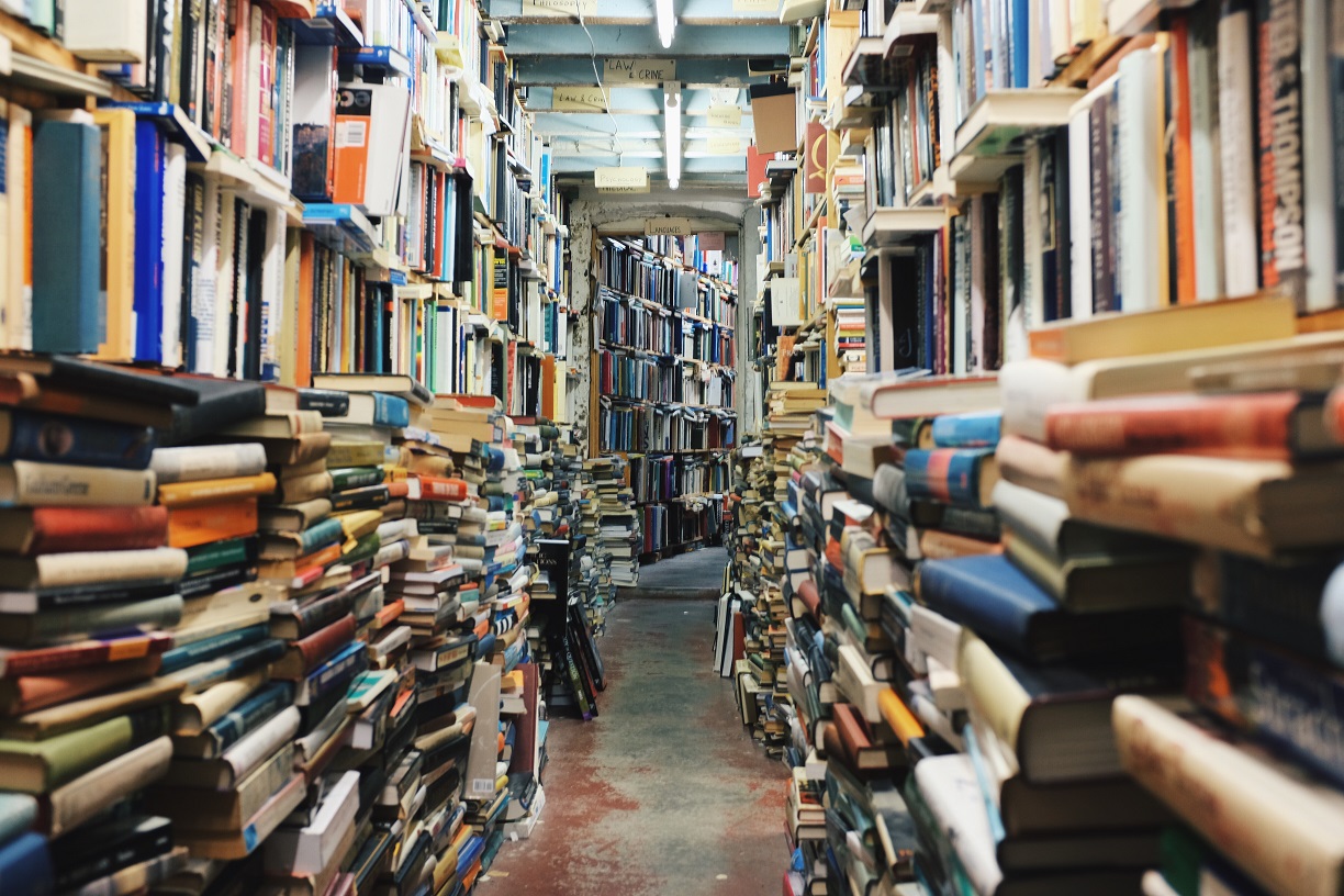 Year of the Novel
